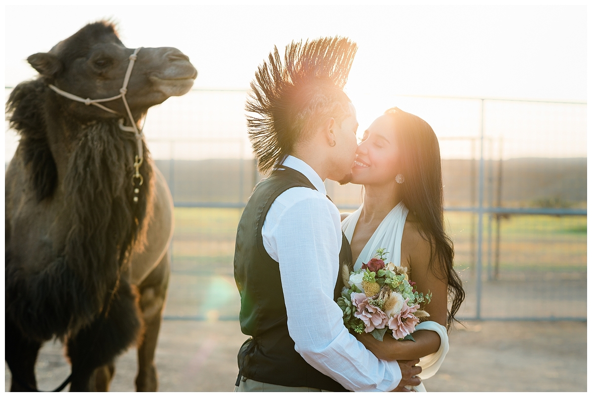 Camel Safari Desert Ranch Wedding Venue Las Vegas Cactus Lace Weddings